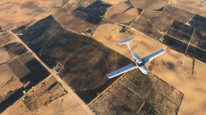 Microsoft Flight Simulator 30-Nov-21 9_50_40 PM (2)