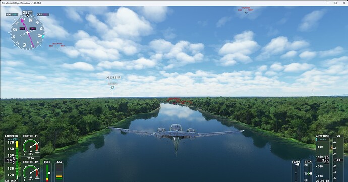 Microsoft Flight Simulator 21-Nov-22 8_05_51 PM