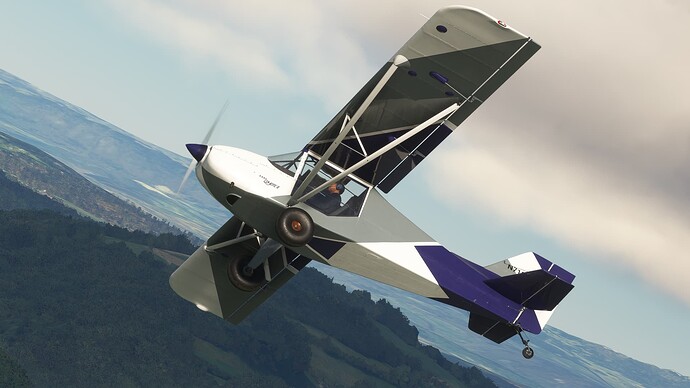 Microsoft Flight Simulator 8_25_2024 4_41_42 PM