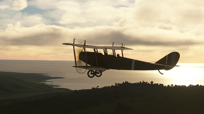 Microsoft Flight Simulator Screenshot 2024.11.02 - 14.33.19.84