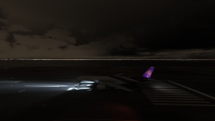 Microsoft Flight Simulator 2024 02_04_2025 9_50_17 pm