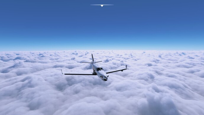 Microsoft Flight Simulator Screenshot 2022.01.20 - 19.07.51.72