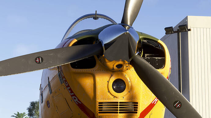 Microsoft Flight Simulator 2024-2026_01_17-02-50-50