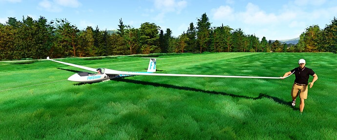 Microsoft Flight Simulator Screenshot 2024.03.08 - 14.01.52