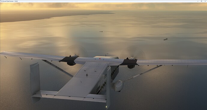 Microsoft Flight Simulator 12_07_2023 20_56_10 (Large)