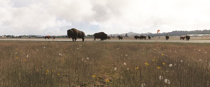 Microsoft Flight Simulator 2024 Screenshot 2024.12.22 - 23.36.42.100