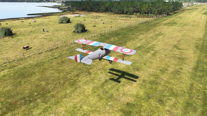 55000484277_2e2a1dccb8_4k