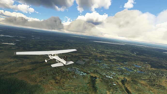 8_st-john_springdale_raw