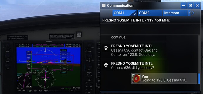 Microsoft Flight Simulator 2024 11_22_2024 1_14_14 PM