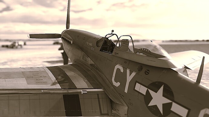 p51ww24.1