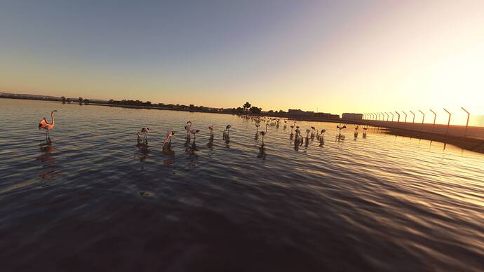 Microsoft Flight Simulator Screenshot 2021.08.22 - 01.37.58.85