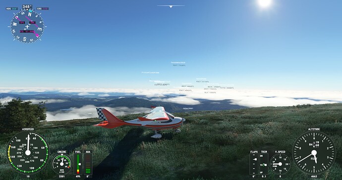 Microsoft Flight Simulator Screenshot 2021.10.28 - 21.52.12.84