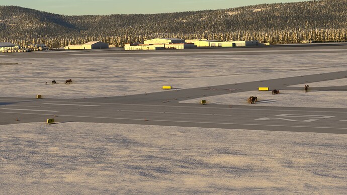 Microsoft Flight Simulator 2024 02_15_25 11_17_10