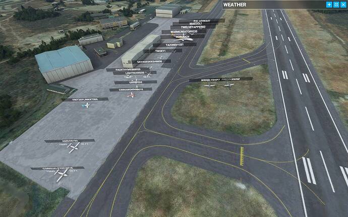 Microsoft Flight Simulator 9_07_2021 11_14_52 p.m.