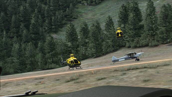 Microsoft Flight Simulator Screenshot 2021.06.04 - 11.30.54.73