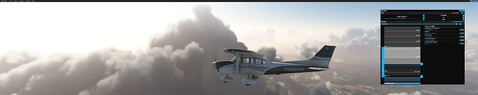 Microsoft Flight Simulator Screenshot 2022.10.17 - 14.26.01.43 (2)
