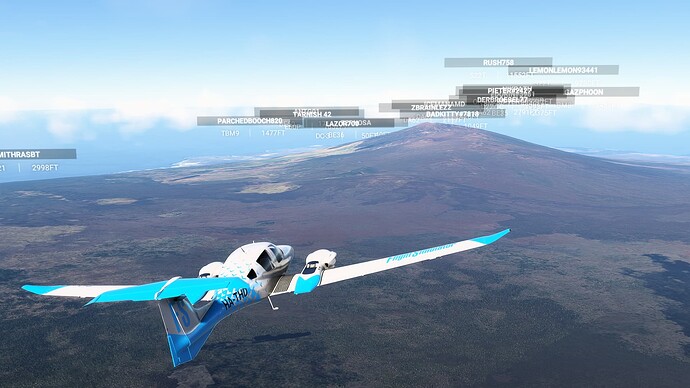 Microsoft Flight Simulator Screenshot 2025.01.10 - 20.42.09.65