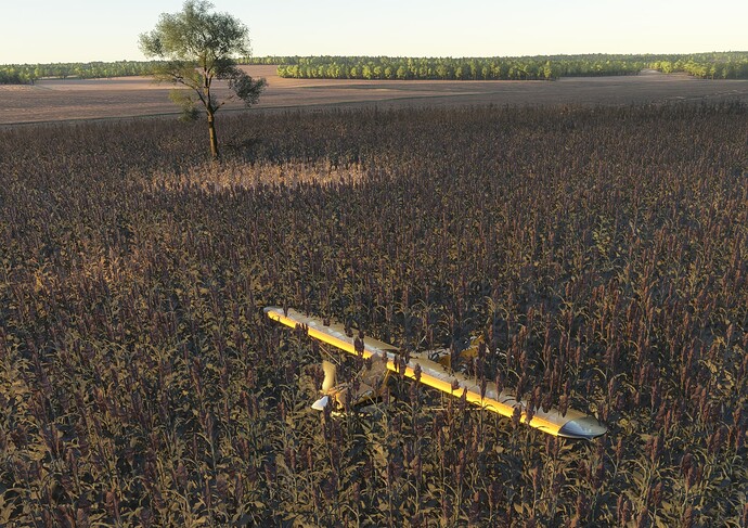 Screenshot 2024-12-20 143502