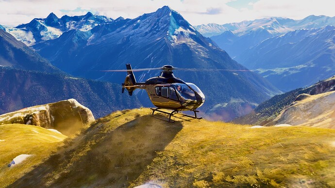 Microsoft Flight Simulator 2024-2025_08_22-00_15_01