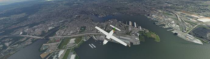 Microsoft Flight Simulator 8_15_2021 11_38_39 AM