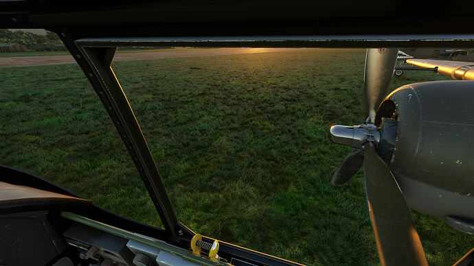 2026-05-19 13_20_26-Microsoft Flight Simulator - 1.39.12.0
