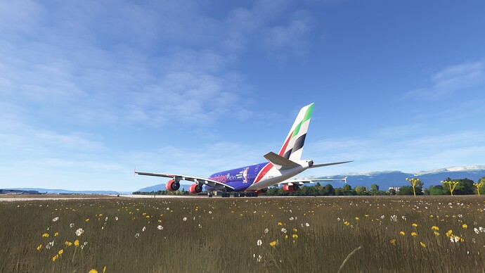 Microsoft Flight Simulator 2024 19_04_2026 8_34_28 PM