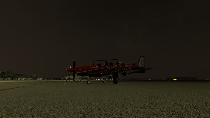 Microsoft Flight Simulator 2024_2026.06.29-22.00_1
