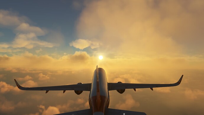 Microsoft Flight Simulator 2_10_2024 4_02_52 PM