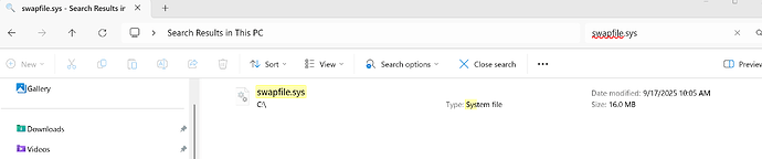 FS2024 - swapfile.sys