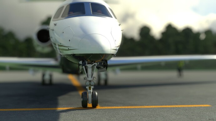 Microsoft Flight Simulator - 1.25.7.0 30_04_2022 09_42_39