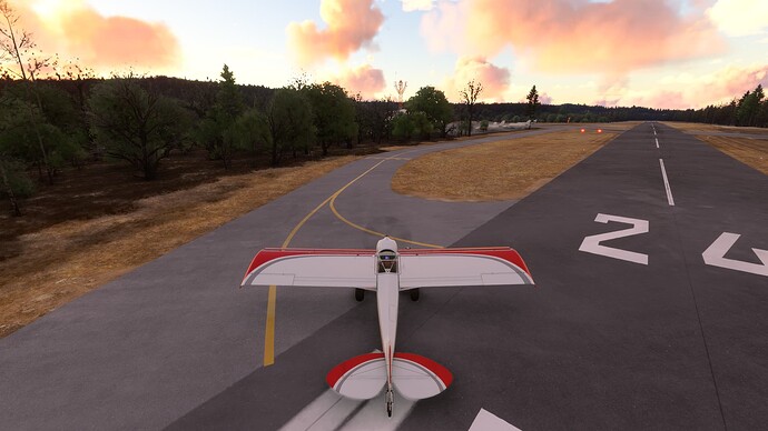 Microsoft Flight Simulator 2024 1_6_2025 3_50_12 PM