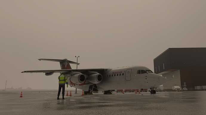 2025-03-04 16_01_26-Microsoft Flight Simulator - 1.38.2.0