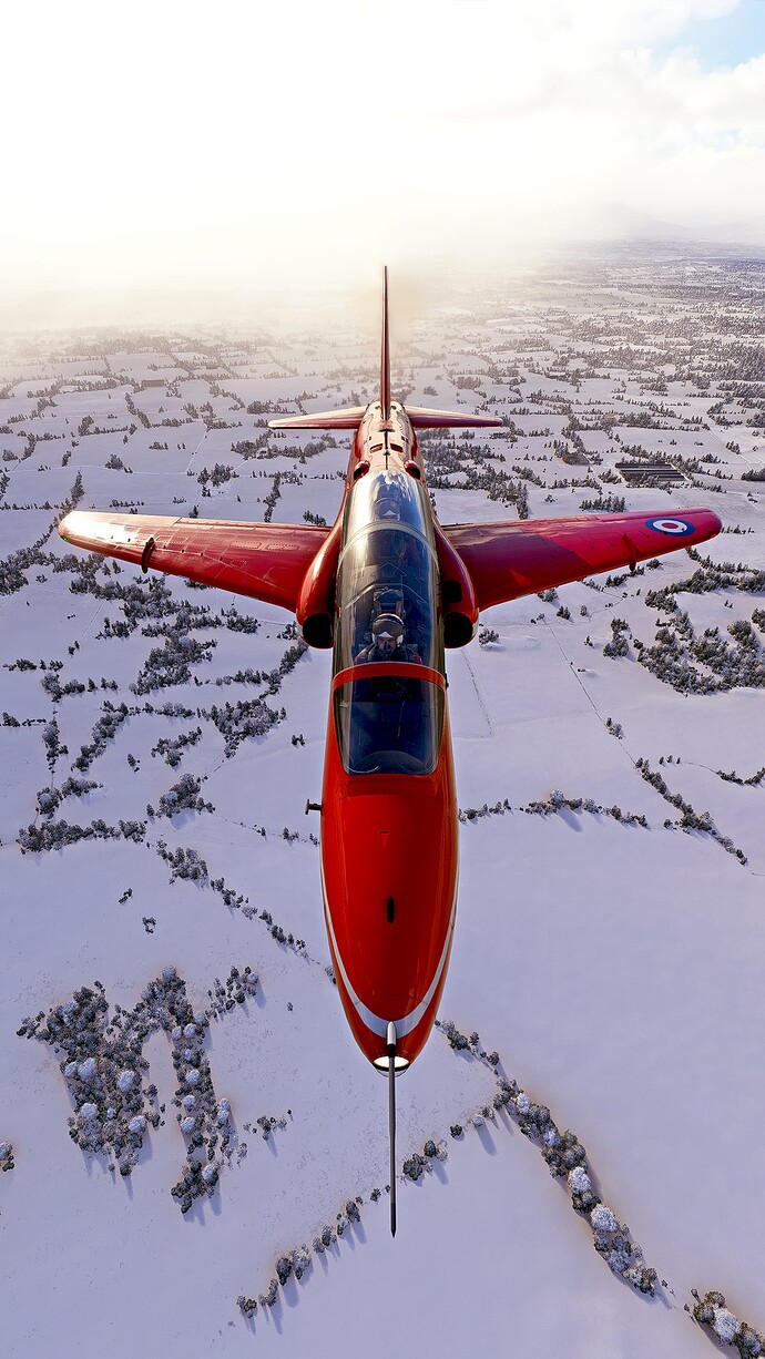 Microsoft Flight Simulator Screenshot 2022.07.31 - 19.34.44.70