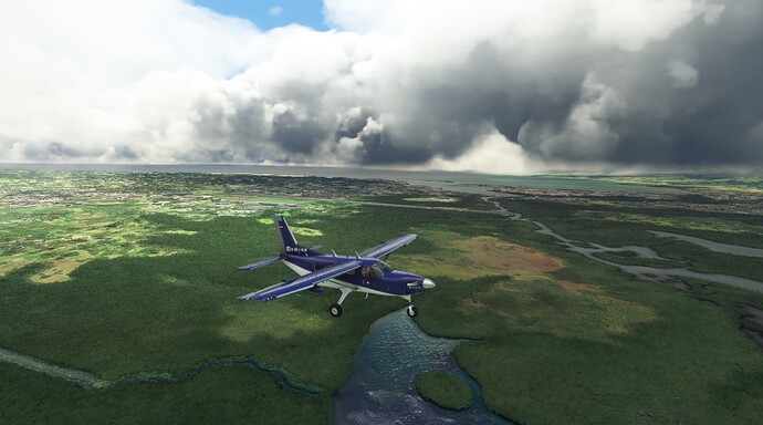 Microsoft Flight Simulator 4_3_2022 12_52_39 PM