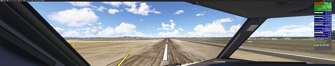 Microsoft Flight Simulator 2024 24_03_2025 11_51_12 AM