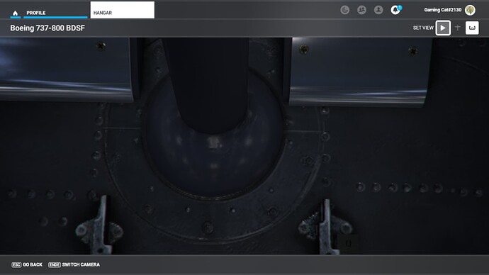 Microsoft Flight Simulator - 1.27.21.0 10_17_2022 6_28_47 PM