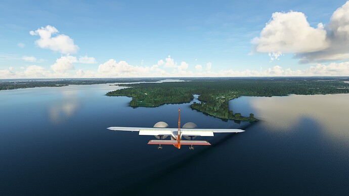 Microsoft Flight Simulator 11_28_2021 6_48_37 AM copy