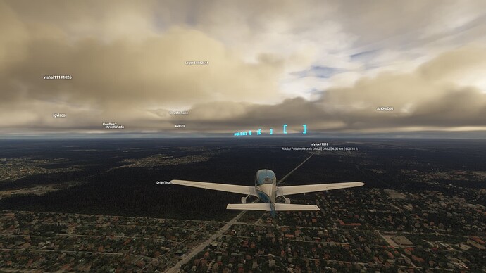 Microsoft Flight Simulator 2024 20-12-2024 20_21_44