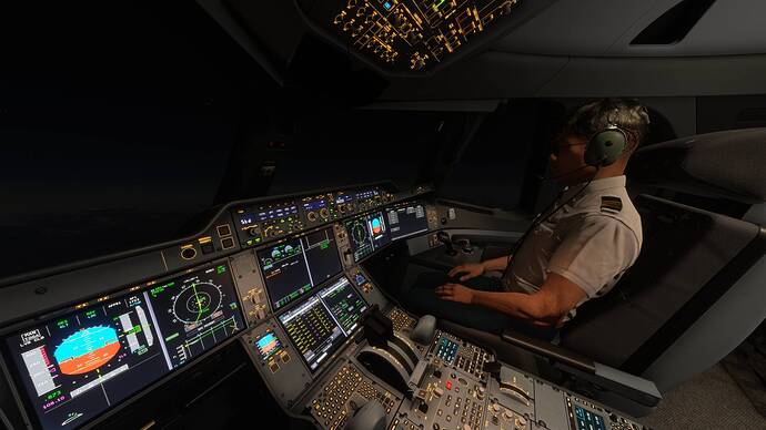 Microsoft Flight Simulator 2024 1_03_2026 9_43_06 AM