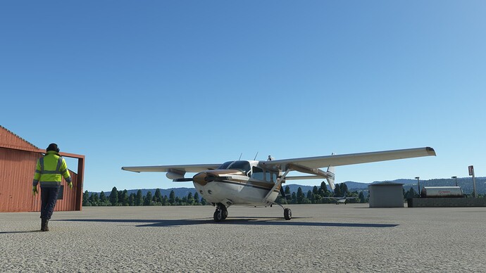 Microsoft Flight Simulator Screenshot 2022.04.26 - 18.33.37.51