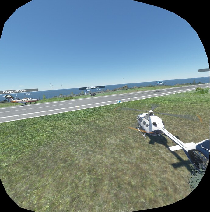 FS2020_20220612_191705_NIS_85_20_L