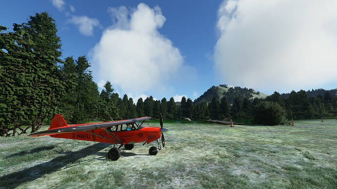 FlightSimulator_GoJuYtsBDO