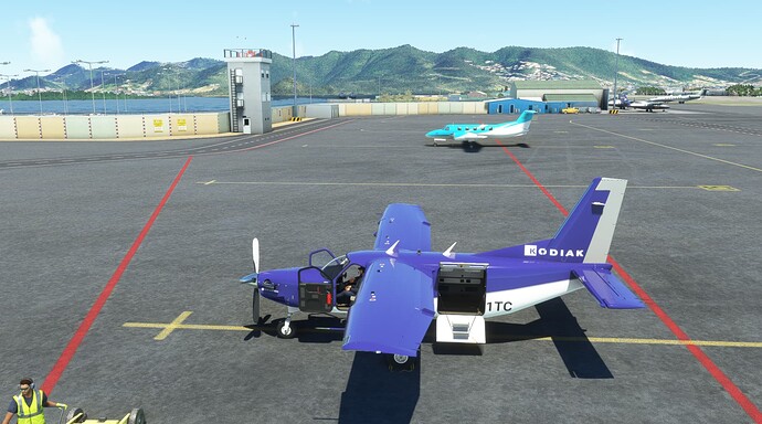Microsoft Flight Simulator 4_3_2022 1_48_26 PM