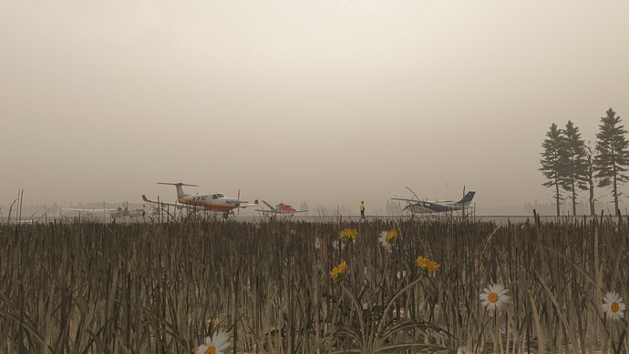 Content Screenshot 2024.11.22 - 01.38.51.77