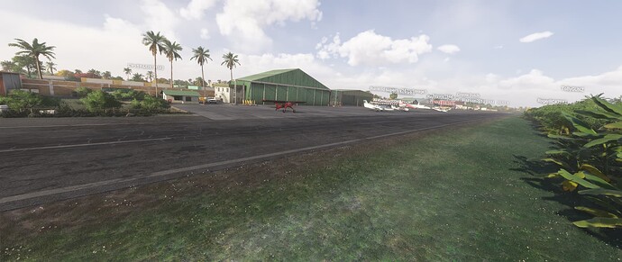 Microsoft Flight Simulator 2024 21-3-2025 21_13_39