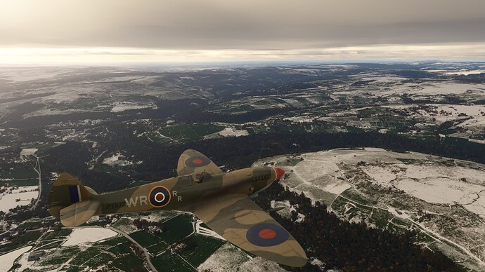 Microsoft Flight Simulator-2024_11_24-11-33-14