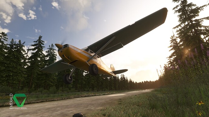 esd_snowflake_lake_airstrip_redux_05