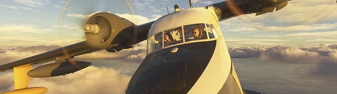 alb_208_3