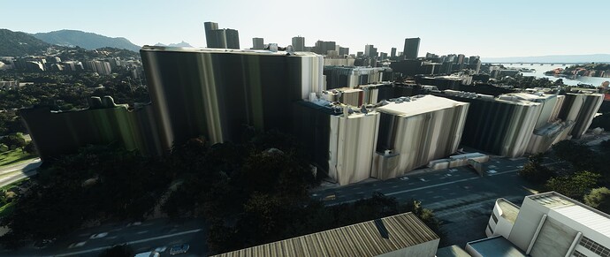 FlightSimulator 2025-09-25 18-56-52_110