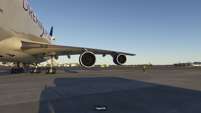 Microsoft Flight Simulator 2024 23_11_2024 11_51_32